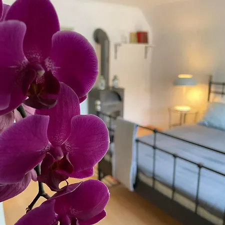 Holzhaus Falkenstein Chalet