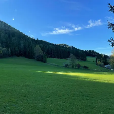 Holzhaus Falkenstein Chalet Schwarzau im Gebirge