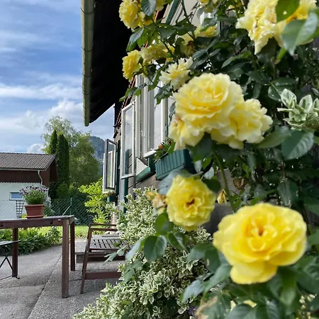 Chalet Holzhaus Falkenstein