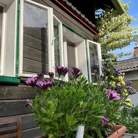 Holzhaus Falkenstein *