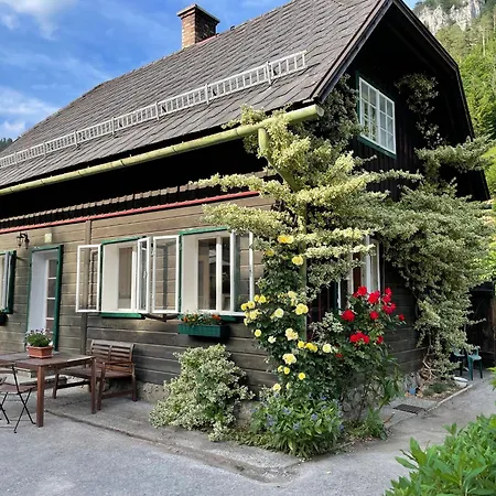 Holzhaus Falkenstein * Schwarzau im Gebirge