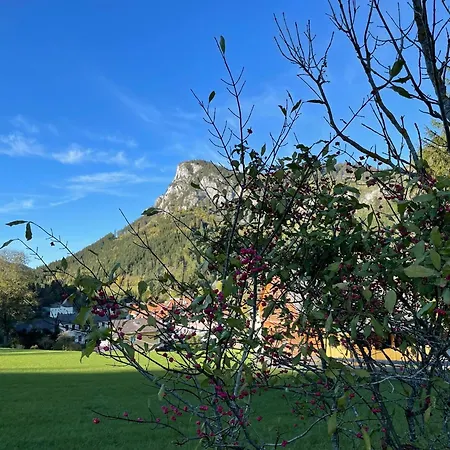 Chalet Holzhaus Falkenstein *