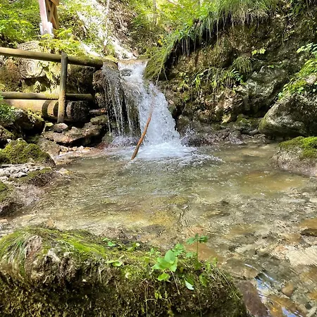 Шале Holzhaus Falkenstein *