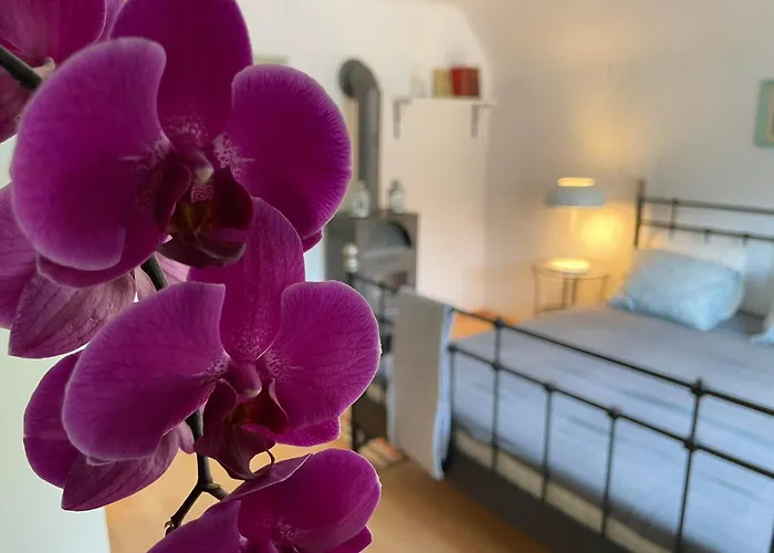 Holzhaus Falkenstein Chalet