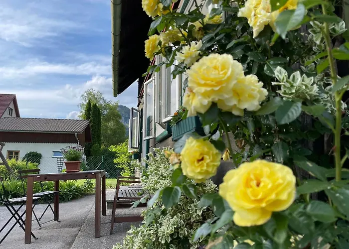 Chalet Holzhaus Falkenstein