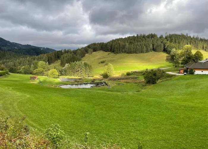 Holzhaus Falkenstein Chalet *