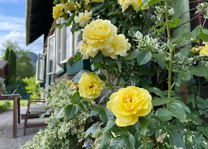 Holzhaus Falkenstein Schwarzau im Gebirge