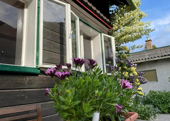 Holzhaus Falkenstein *