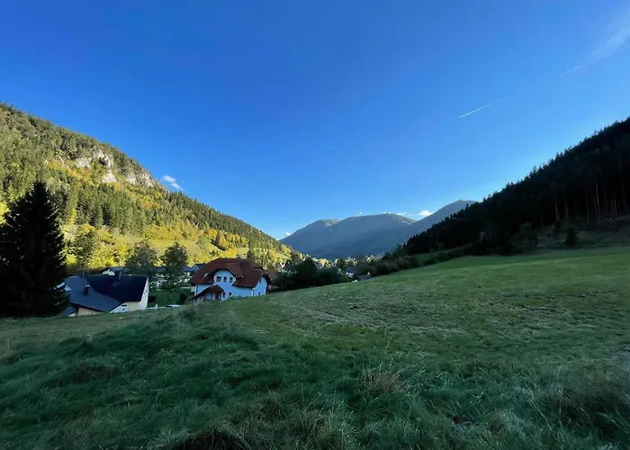 Holzhaus Falkenstein