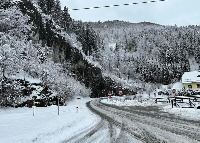 Holzhaus Falkenstein