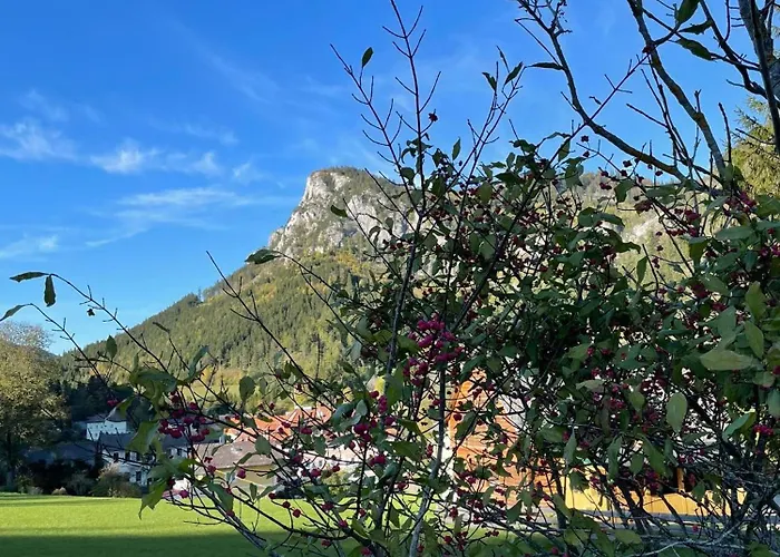 Chalet Holzhaus Falkenstein *