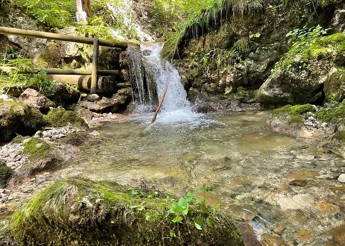 Chalet Holzhaus Falkenstein *